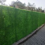 גדר ירוקה באורך 10 מטר